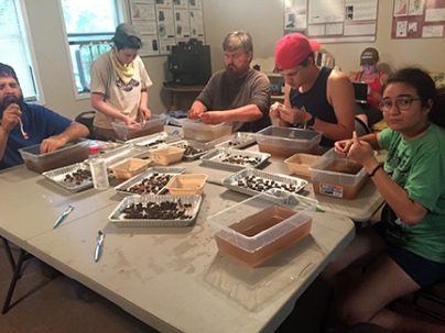 Students washing artifacts. Various levels of enthusiasm pictured.